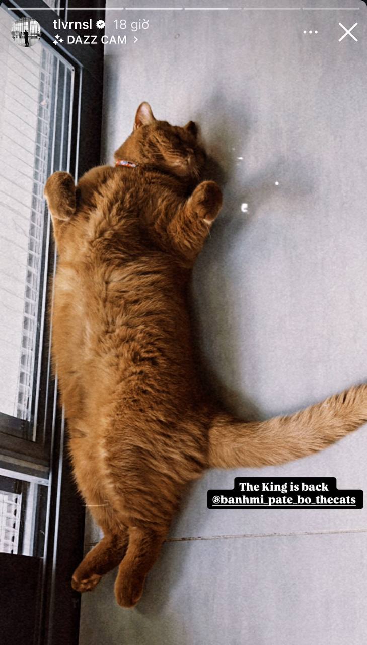 Điều khó phân chia của Tóc Tiên và Touliver sau ly hôn - Ảnh 1.