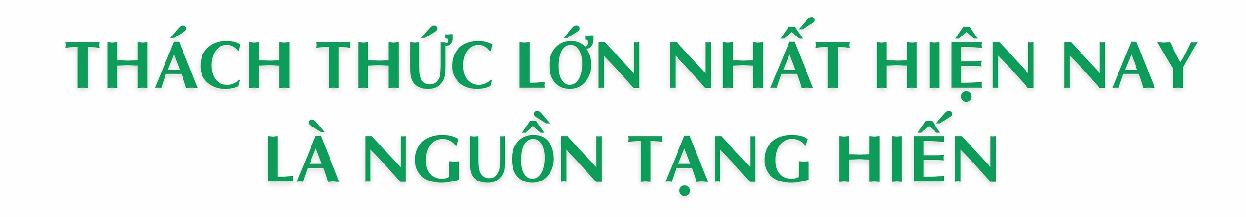 Từ ca ghép đầu tiên đến ghép tim - phổi đồng thời: Hành trình vươn tầm của ghép tạng Việt Nam, khẳng định vị thế khu vực - Ảnh 6.