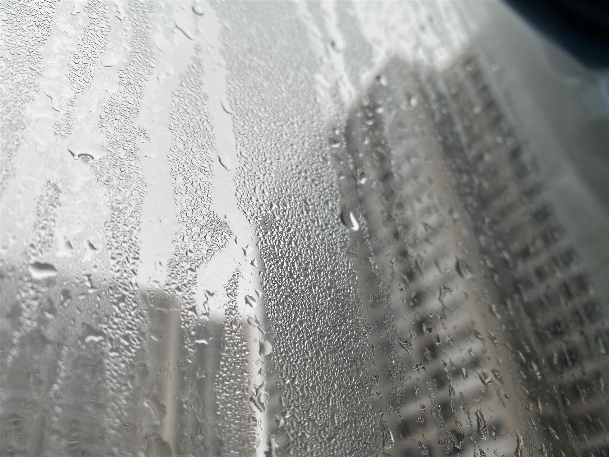 Khi nào trời bắt đầu nồm ẩm? - Ảnh 1.