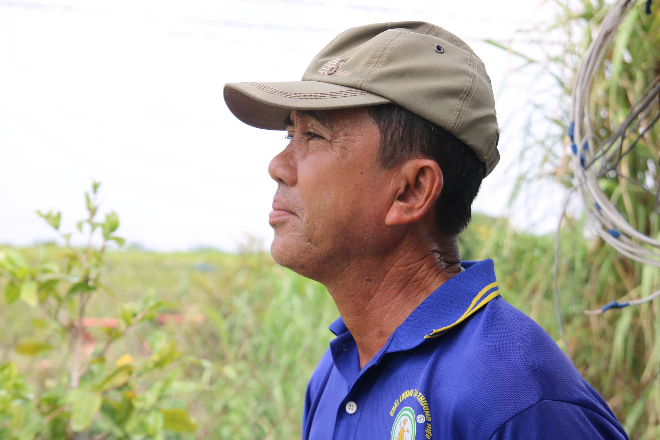 Bất ngờ với giống hoa Tết có tới hàng chục cánh, được giới sành chơi đặc biệt săn đón - Ảnh 4.