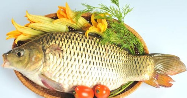 Bây giờ tôi mới biết: Hóa ra đây là loại cá khiến chị bạn 40  của mình trông trẻ như gái 30! - Ảnh 3.