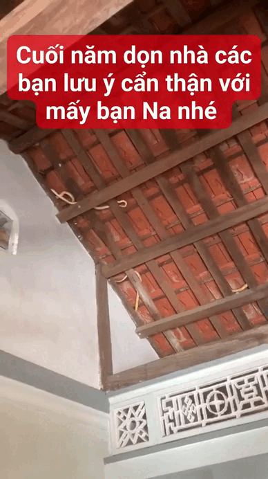 Dọn nh&agrave; đ&oacute;n Tết, gia chủ 