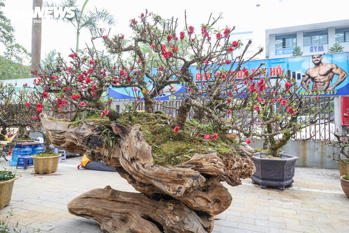 Cặp đ&agrave;o thất thốn độc lạ gi&aacute; gần 1 tỷ đồng g&acirc;y sốt tại H&agrave; Nội - Ảnh 3.