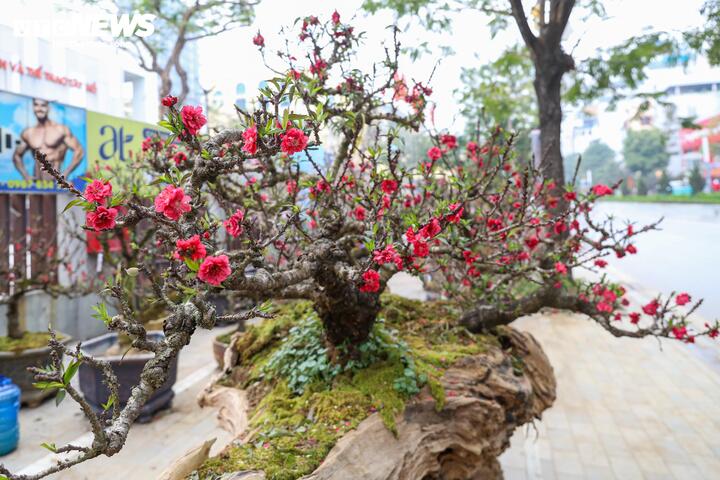 Cặp đ&agrave;o thất thốn độc lạ gi&aacute; gần 1 tỷ đồng g&acirc;y sốt tại H&agrave; Nội - Ảnh 4.