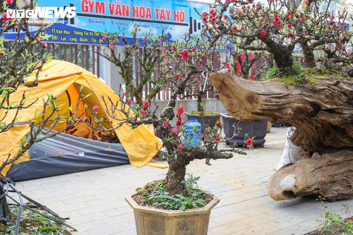 Cặp đ&agrave;o thất thốn độc lạ gi&aacute; gần 1 tỷ đồng g&acirc;y sốt tại H&agrave; Nội - Ảnh 14.