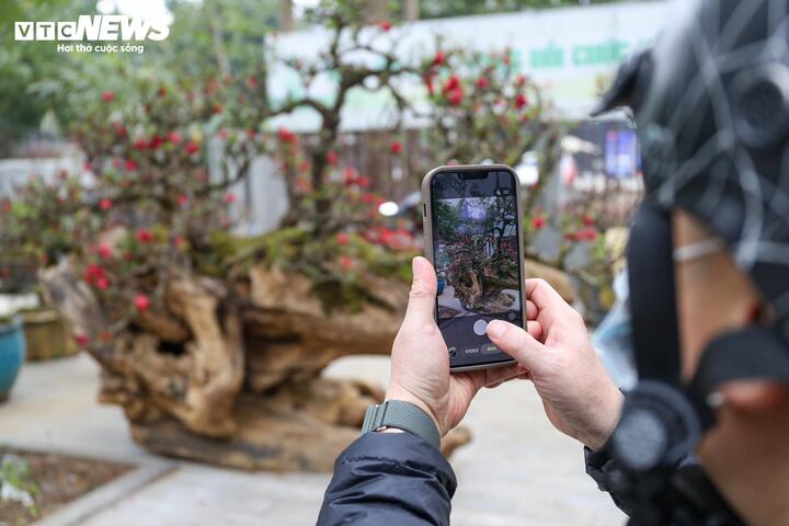 Cặp đ&agrave;o thất thốn độc lạ gi&aacute; gần 1 tỷ đồng g&acirc;y sốt tại H&agrave; Nội - Ảnh 12.