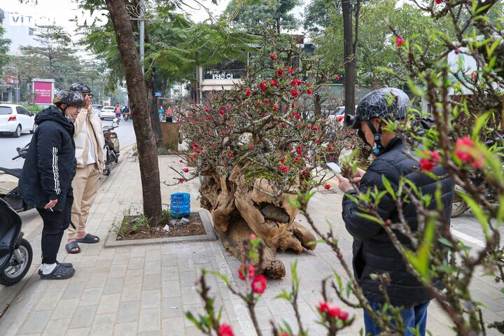 Cặp đ&agrave;o thất thốn độc lạ gi&aacute; gần 1 tỷ đồng g&acirc;y sốt tại H&agrave; Nội - Ảnh 11.