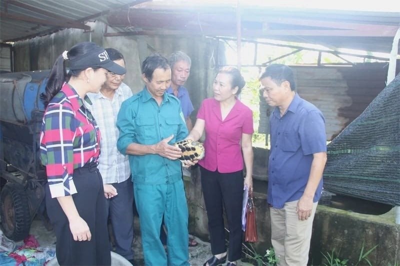 Nữ n&ocirc;ng d&acirc;n Thanh H&oacute;a biến đất chết th&agrave;nh mỏ v&agrave;ng, thu 1 tỷ đồng mỗi năm - Ảnh 1.