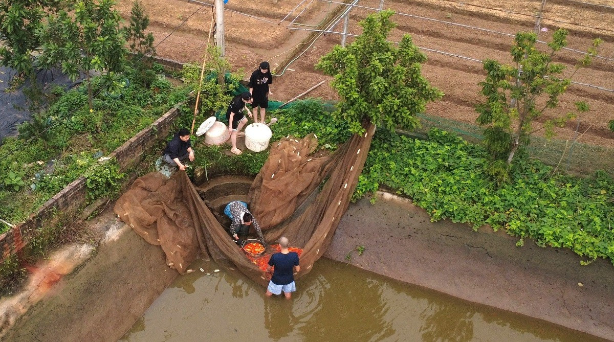 B&ecirc;n trong thủ phủ c&aacute; ch&eacute;p đỏ miền Bắc trước ng&agrave;y &ocirc;ng C&ocirc;ng, &ocirc;ng T&aacute;o - Ảnh 2.