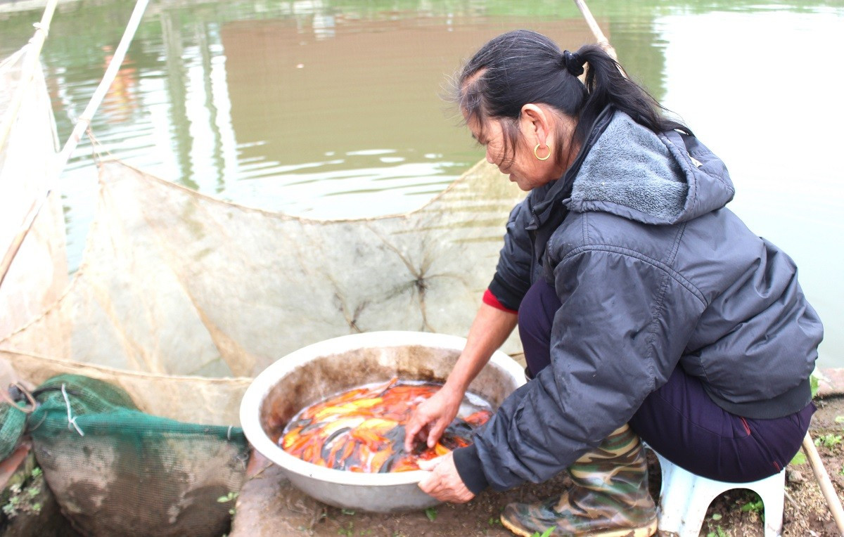 B&ecirc;n trong thủ phủ c&aacute; ch&eacute;p đỏ miền Bắc trước ng&agrave;y &ocirc;ng C&ocirc;ng, &ocirc;ng T&aacute;o - Ảnh 5.