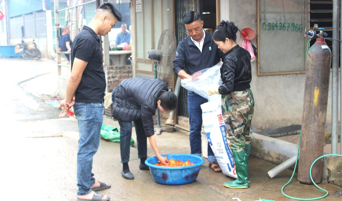 B&ecirc;n trong thủ phủ c&aacute; ch&eacute;p đỏ miền Bắc trước ng&agrave;y &ocirc;ng C&ocirc;ng, &ocirc;ng T&aacute;o - Ảnh 11.