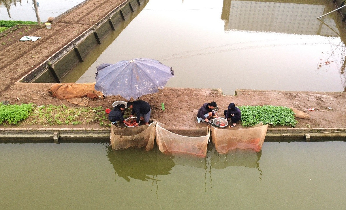 B&ecirc;n trong thủ phủ c&aacute; ch&eacute;p đỏ miền Bắc trước ng&agrave;y &ocirc;ng C&ocirc;ng, &ocirc;ng T&aacute;o - Ảnh 4.