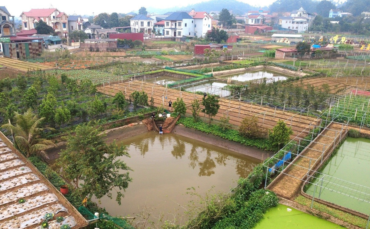 B&ecirc;n trong thủ phủ c&aacute; ch&eacute;p đỏ miền Bắc trước ng&agrave;y &ocirc;ng C&ocirc;ng, &ocirc;ng T&aacute;o - Ảnh 1.