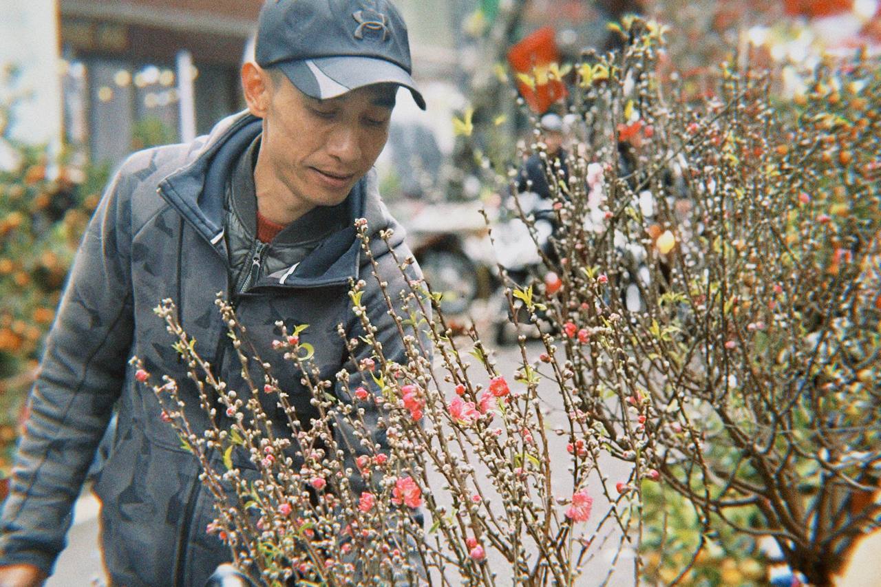 Biến động chợ hoa cổ nhất Hà Nội: Quất chum, quất mini 