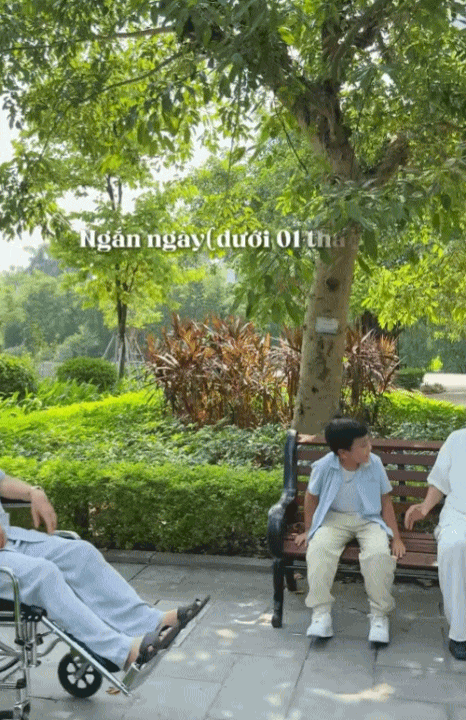 Có một kiểu hiếu thảo hiện đại: Giúp cha mẹ già luôn có người bên cạnh mỗi ngày - Ảnh 4.