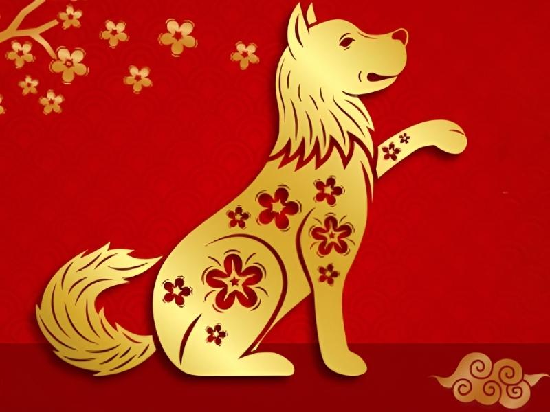 Chuy&ecirc;n gia dự b&aacute;o: 3 con gi&aacute;p c&oacute; vận may tốt nhất năm 2026, sự nghiệp thăng tiến v&agrave; t&agrave;i lộc dồi d&agrave;o - Ảnh 3.