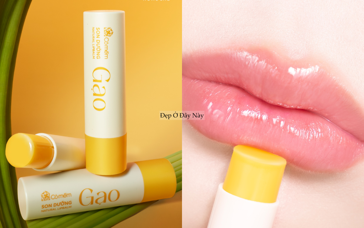 5 son dưỡng kh&ocirc;ng m&agrave;u 