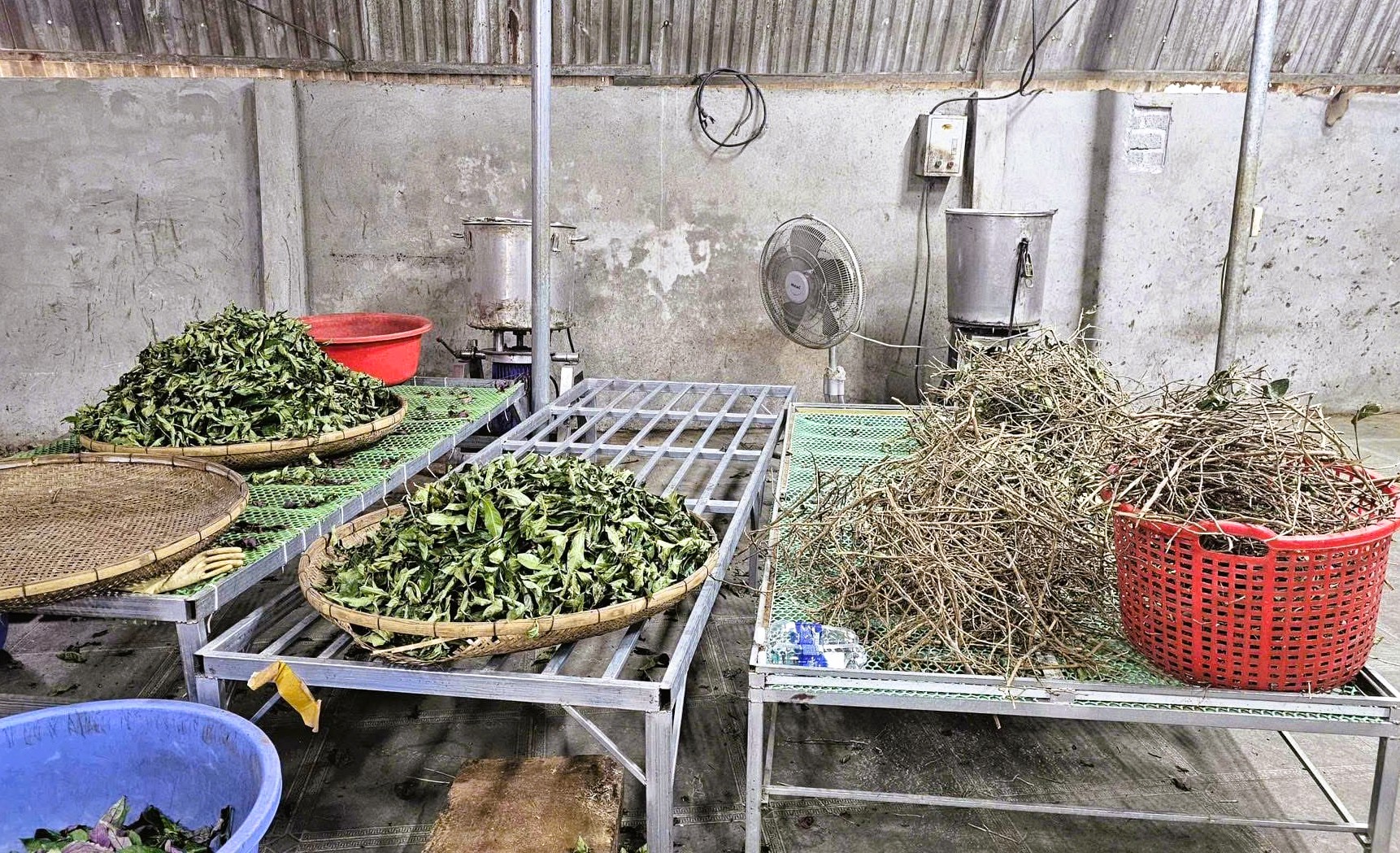 Thần y dỏm Hoàng Văn Toàn lừa đảo hàng ngàn người với bài thuốc gia truyền 3 đời - Ảnh 2. Thần y dỏm Hoàng Văn Toàn lừa đảo hàng ngàn người với bài thuốc gia truyền 3 đời - Ảnh 2.