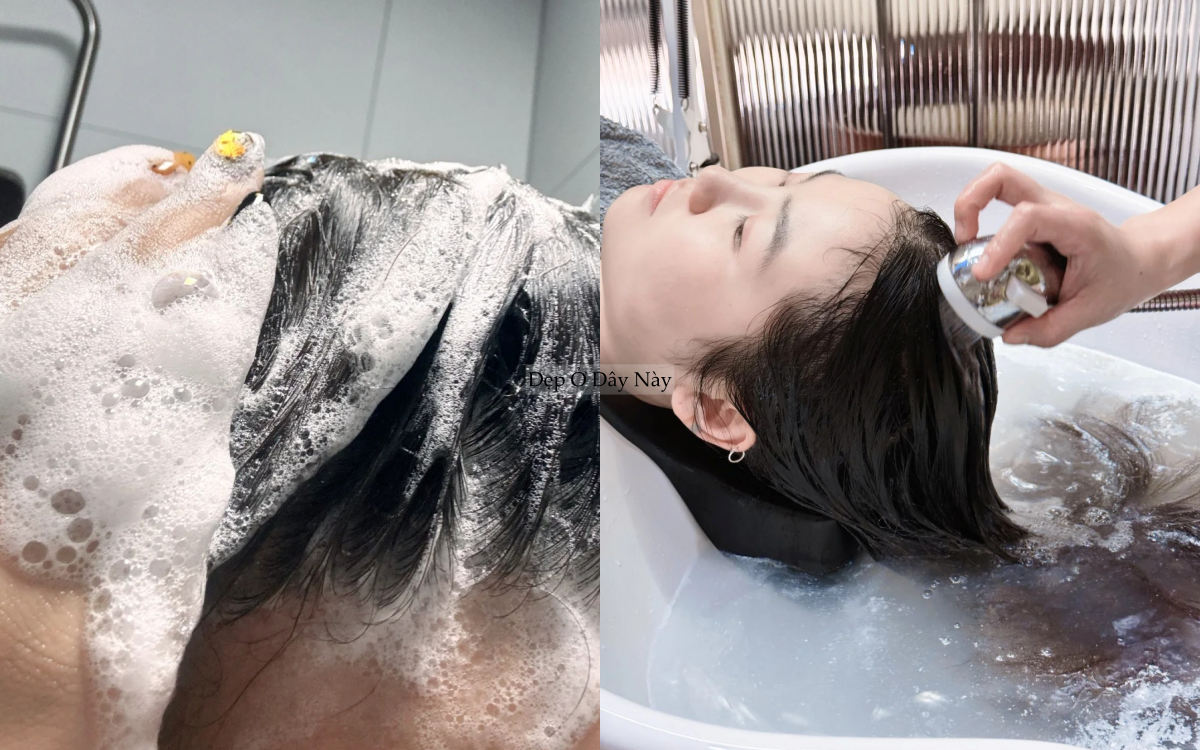 90% c&aacute;c chị em đều bỏ qua điều n&agrave;y khiến m&aacute;i t&oacute;c m&atilde;i x&aacute;c xơ, k&eacute;m đẹp - Ảnh 4.