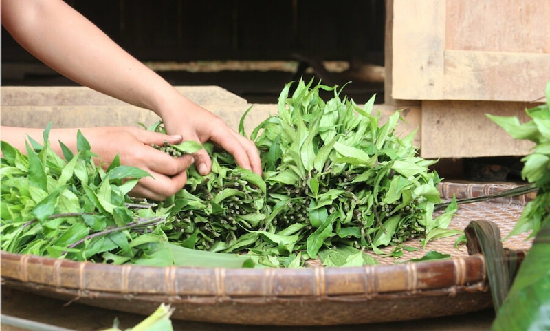 Món rau nhất định phải ăn trong tháng Ba giúp thúc đẩy tiêu hóa và dưỡng gan, bảo vệ mắt - Ảnh 2. Món rau nhất định phải ăn trong tháng Ba giúp thúc đẩy tiêu hóa và dưỡng gan, bảo vệ mắt - Ảnh 2.