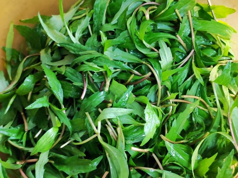 Món rau nhất định phải ăn trong tháng Ba giúp thúc đẩy tiêu hóa và dưỡng gan, bảo vệ mắt - Ảnh 3. Món rau nhất định phải ăn trong tháng Ba giúp thúc đẩy tiêu hóa và dưỡng gan, bảo vệ mắt - Ảnh 3.