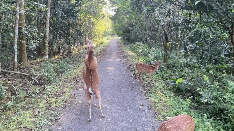 Ẩu đả dữ dội tại vườn quốc gia C&uacute;c Phương nhưng kh&ocirc;ng ai can ngăn, l&yacute; do l&agrave; g&igrave;?- Ảnh 2.