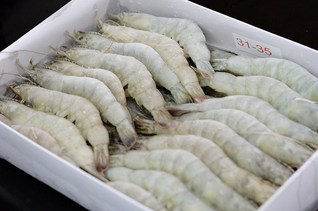 Mua t&ocirc;m đ&ocirc;ng lạnh si&ecirc;u thị: Cao thủ n&oacute;i dấu hiệu ở đu&ocirc;i, kh&ocirc;ng phải ai cũng biết- Ảnh 3.