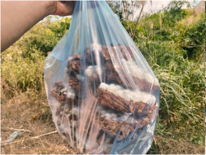 Con đặc sản &ldquo;nh&igrave;n đ&atilde; thấy sợ&rdquo; ở T&acirc;y Bắc xưa kh&ocirc;ng ai ng&oacute;, nay th&agrave;nh m&oacute;n ăn được d&acirc;n nhậu m&ecirc; t&iacute;t săn l&ugrave;ng- Ảnh 1.