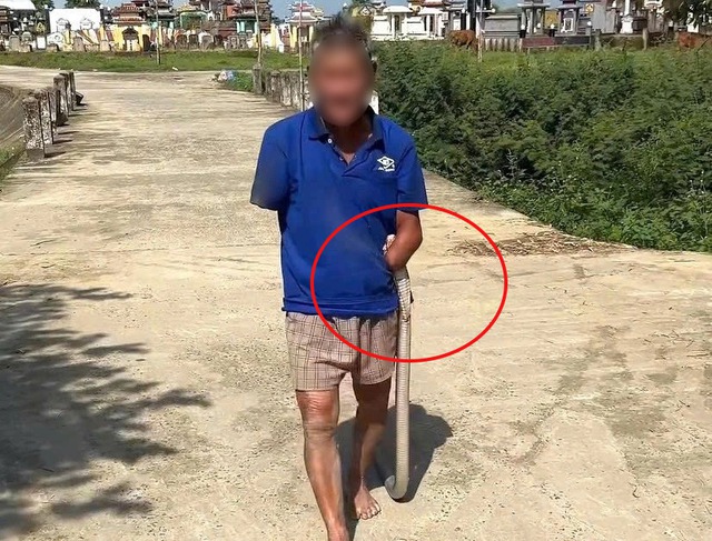 Cụ &ocirc;ng cụt tay kẹp rắn hổ mang đưa về nh&agrave; g&acirc;y sốt mạng x&atilde; hội năm 2026 - Ảnh 1.