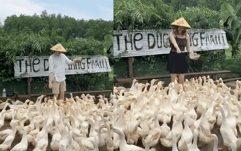 khach-tay-thu-linh-vit-a-duck-leader-1-1773656733319343189674.gif