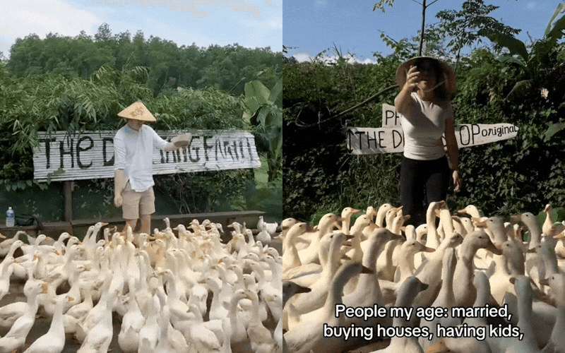 khach-tay-thu-linh-vit-a-duck-leader-17736567333241693716573.gif