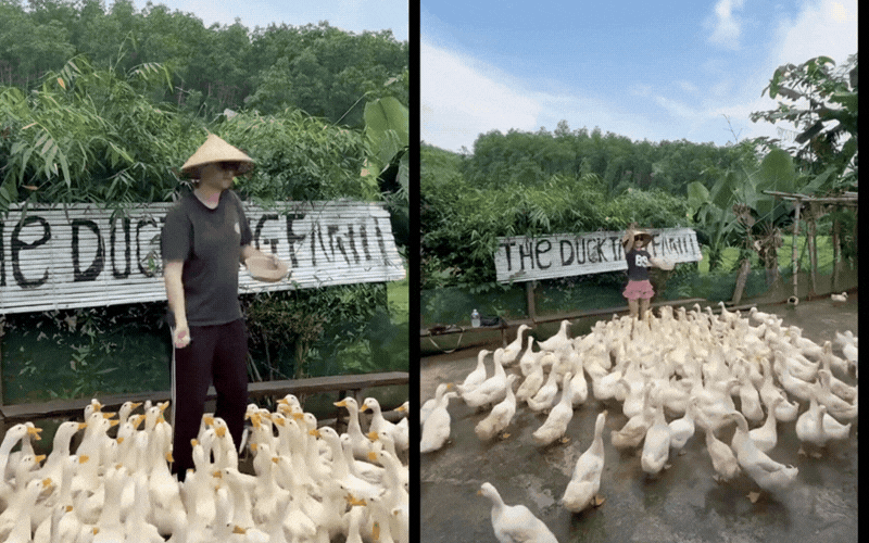 khach-tay-thu-linh-vit-a-duck-leader-2-17736567333071099509747.gif