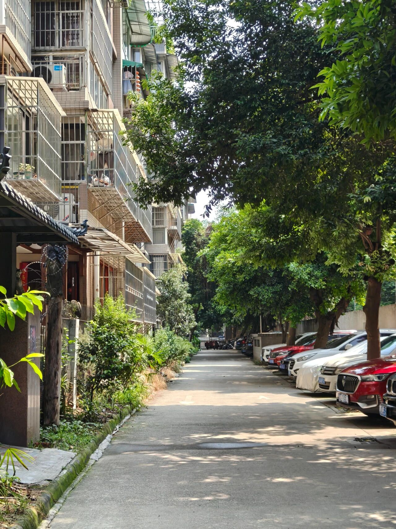 T&ocirc;i rời căn hộ c&oacute; thang m&aacute;y để về sống ở khu phố cũ: Sau 1 năm, t&ocirc;i chỉ tiếc đ&atilde; chuyển đi qu&aacute; muộn - Ảnh 4.