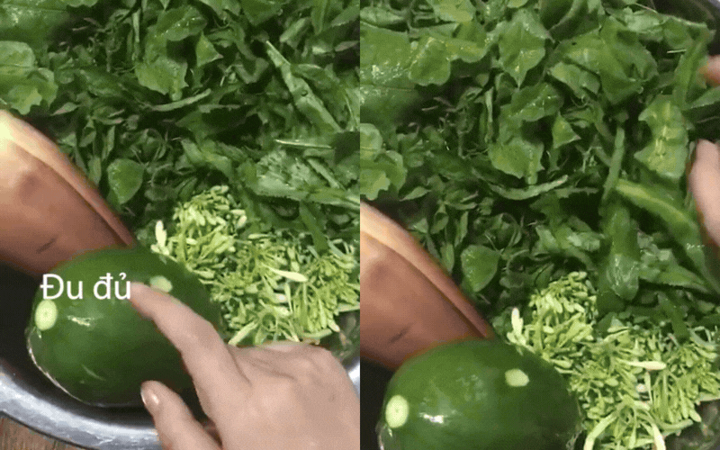 rau-do-hoa-binh-7-17737421026971976888217.gif