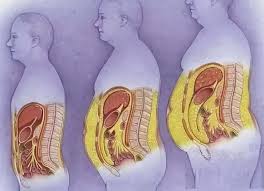 Mỡ thừa ở đ&acirc;y l&agrave; điều 