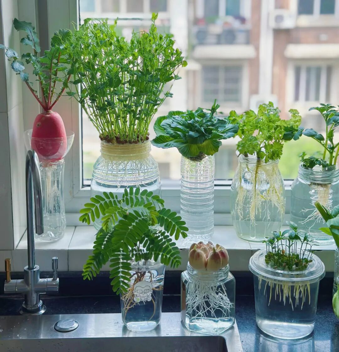 Tưởng l&agrave; keo kiệt, nhưng 10 th&oacute;i quen của d&igrave; 60 tuổi lại gi&uacute;p b&agrave; kh&ocirc;ng bao giờ &aacute;p lực tiền bạc - Ảnh 7.