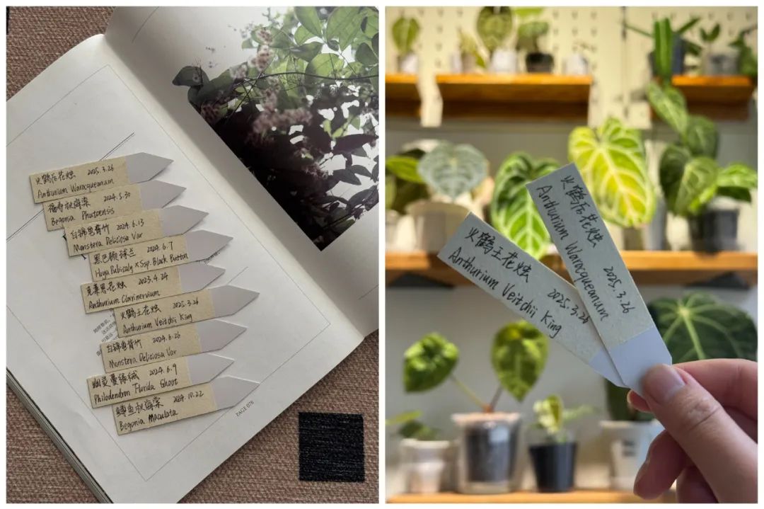 Định vứt đi cho đỡ chật nh&agrave;, ai ngờ 7 m&oacute;n đồ n&agrave;y lại trở th&agrave;nh thứ t&ocirc;i d&ugrave;ng nhiều nhất mỗi ng&agrave;y - Ảnh 10.