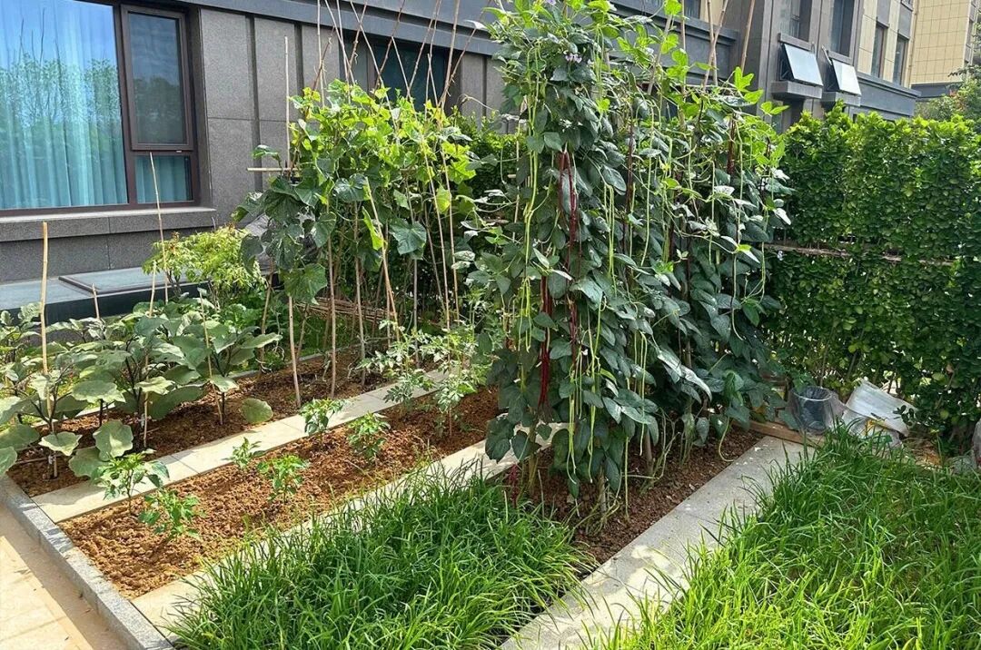 Tưởng l&agrave; keo kiệt, nhưng 10 th&oacute;i quen của d&igrave; 60 tuổi lại gi&uacute;p b&agrave; kh&ocirc;ng bao giờ &aacute;p lực tiền bạc - Ảnh 1.