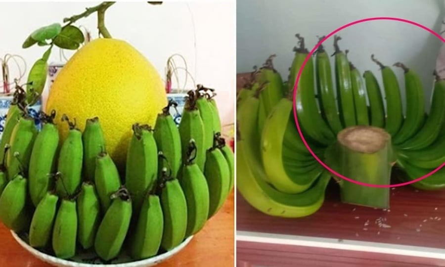 Cảnh b&aacute;o đặc biệt tới c&aacute;c gia đ&igrave;nh đang b&agrave;y chuối ng&agrave;y Tết - Ảnh 2.