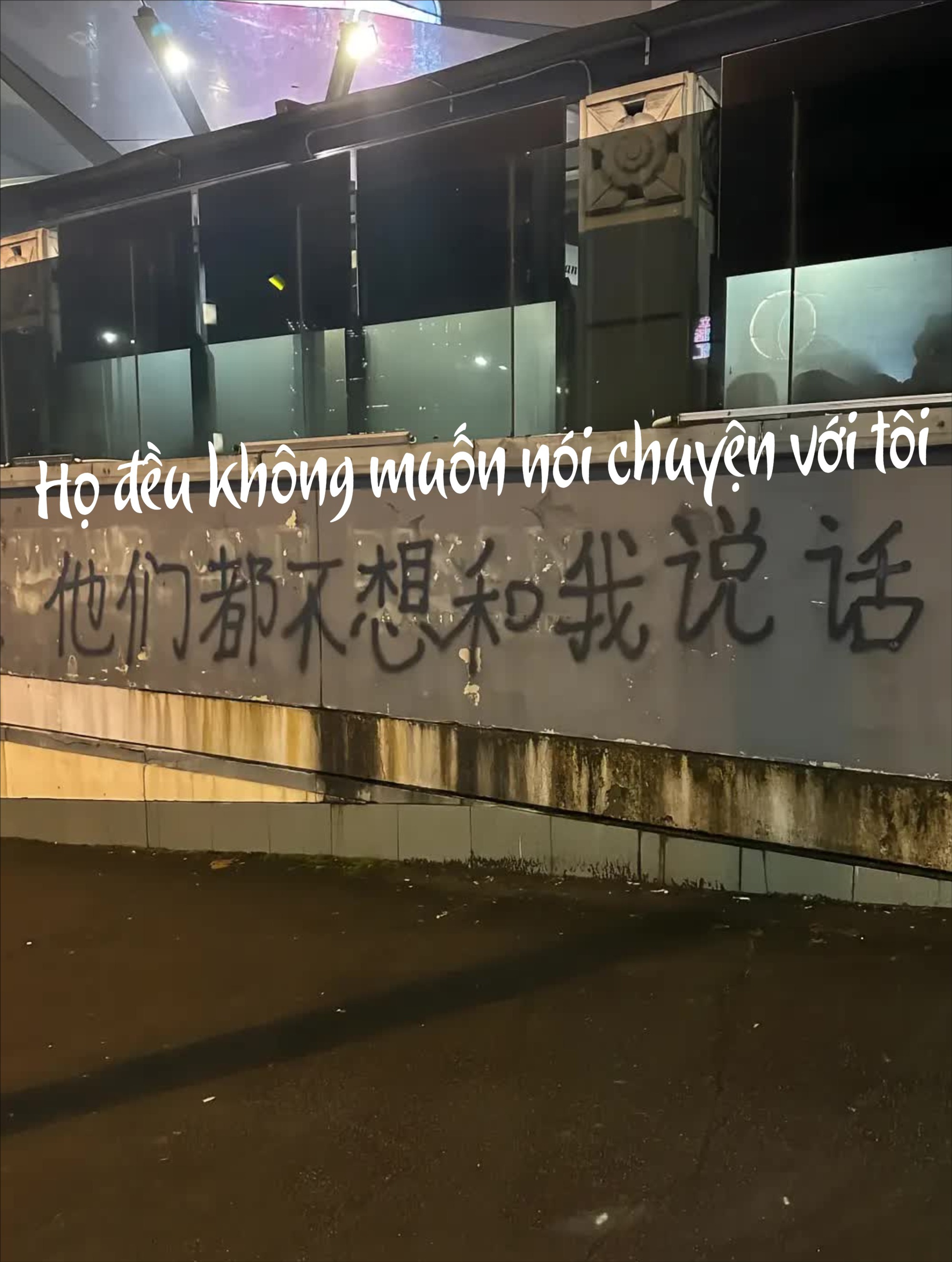 D&ograve;ng chữ tr&ecirc;n bức tường ở Sydney l&agrave;m h&agrave;ng triệu du học sinh 