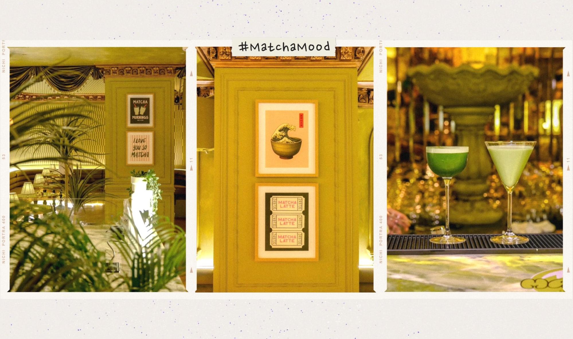 Matcha không chỉ để uống: Đây là cách một thú chơi đang trở thành cơ hội làm giàu - Ảnh 4.