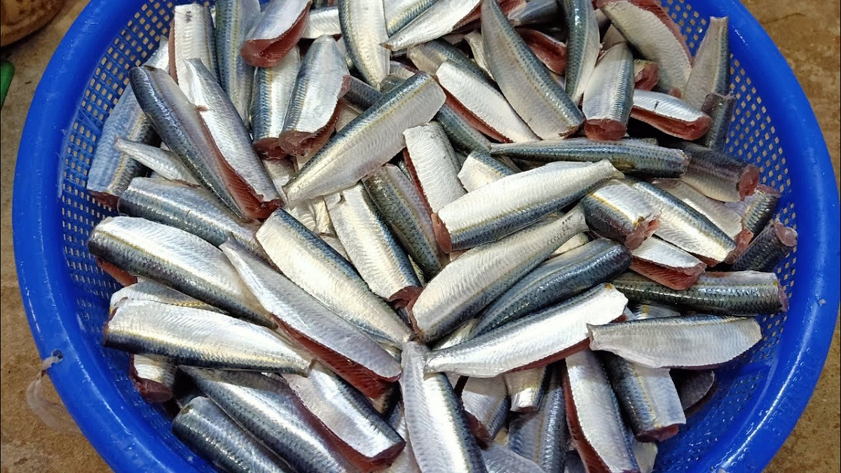 2 loại c&aacute; &iacute;t 