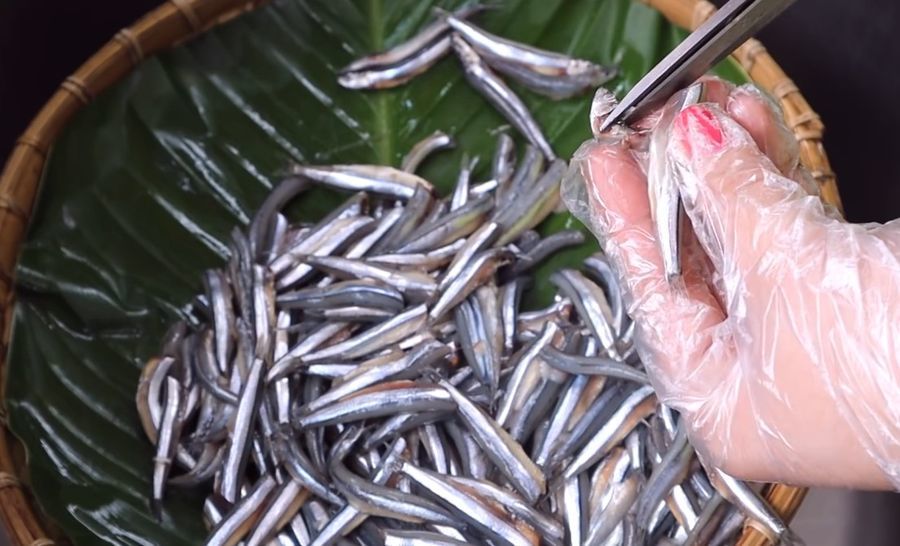 2 loại c&aacute; &iacute;t 