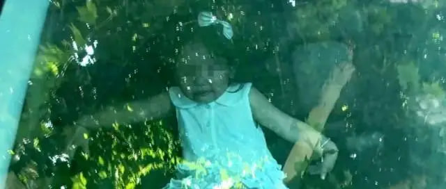 Bé trai 2 tuổi bị bố vô tình khóa trong ô tô, khi phát hiện đã sùi bọt mép! - Ảnh 3.