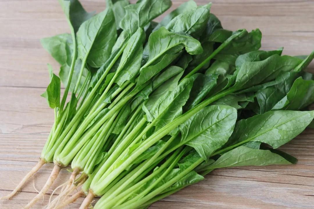 Hãy thưởng thức món rau này khi còn kịp trong tháng Ba: Nguyên liệu rẻ, quen thuộc mà ăn ngon miệng hơn cả món thịt - Ảnh 1.