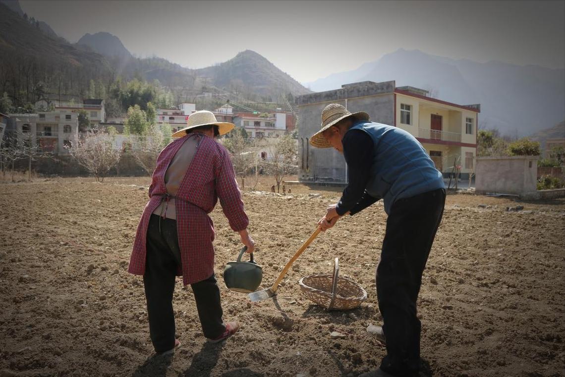 T&ocirc;i chi hơn 1 tỷ mua nh&agrave; cho bố mẹ ở tuổi gi&agrave; - 6 th&aacute;ng sau mới hiểu: Hiếu thảo sai c&aacute;ch c&oacute; thể khiến cả nh&agrave; tốn tiền lẫn sức khỏe - Ảnh 4.