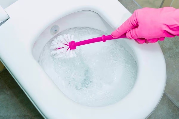 0toilets-will-stay-clean-and-bacteria-free-if-you-ditch-bleach-for-a-more-effective-item-10110821-1774500011349-17745000116121352565718.jpg