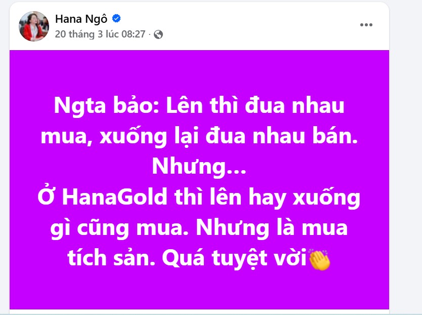 Hana Ng&ocirc; k&ecirc;u gọi đầu tư v&agrave;ng trước khi bị bắt: C&acirc;u chuyện g&acirc;y chấn động x&atilde; hội - Ảnh 2.