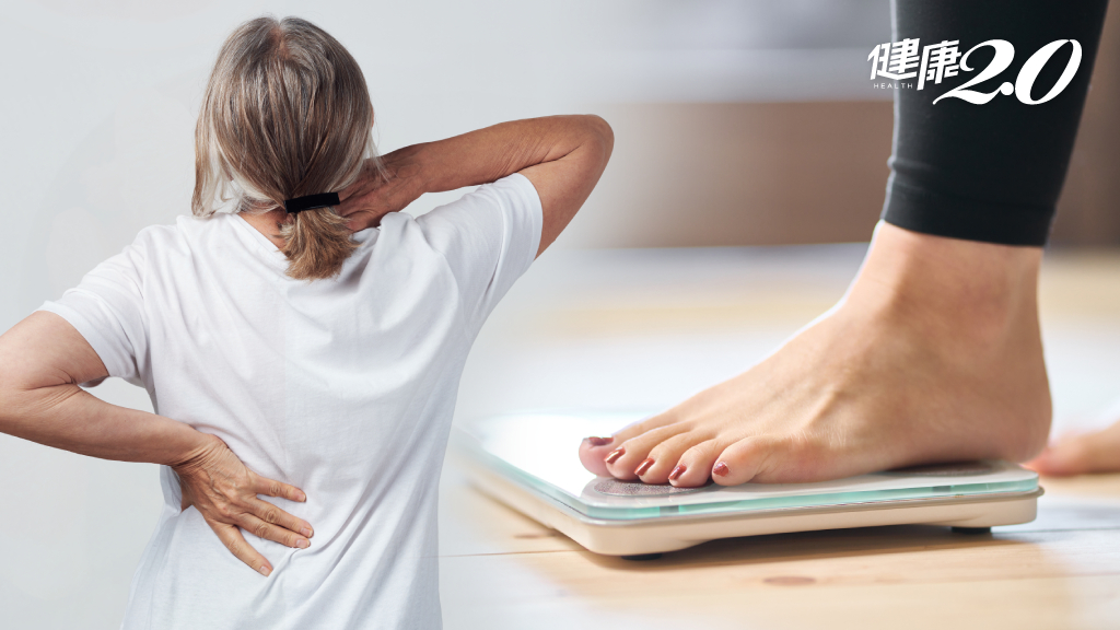 Các thực phẩm giàu dinh dưỡng bao gồm cá, rau xanh, trứng, sữa và ngũ cốc