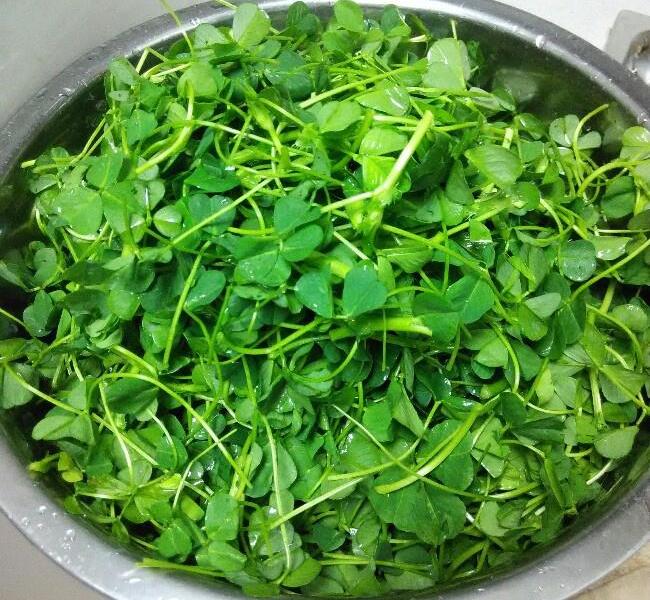 Món ăn từ loại rau giúp thanh nhiệt và bổ gan: 2 món ngon từ cỏ linh lăng - Ảnh 3. Món ăn từ loại rau giúp thanh nhiệt và bổ gan: 2 món ngon từ cỏ linh lăng - Ảnh 3.